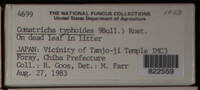 Image Associated With the Occurence